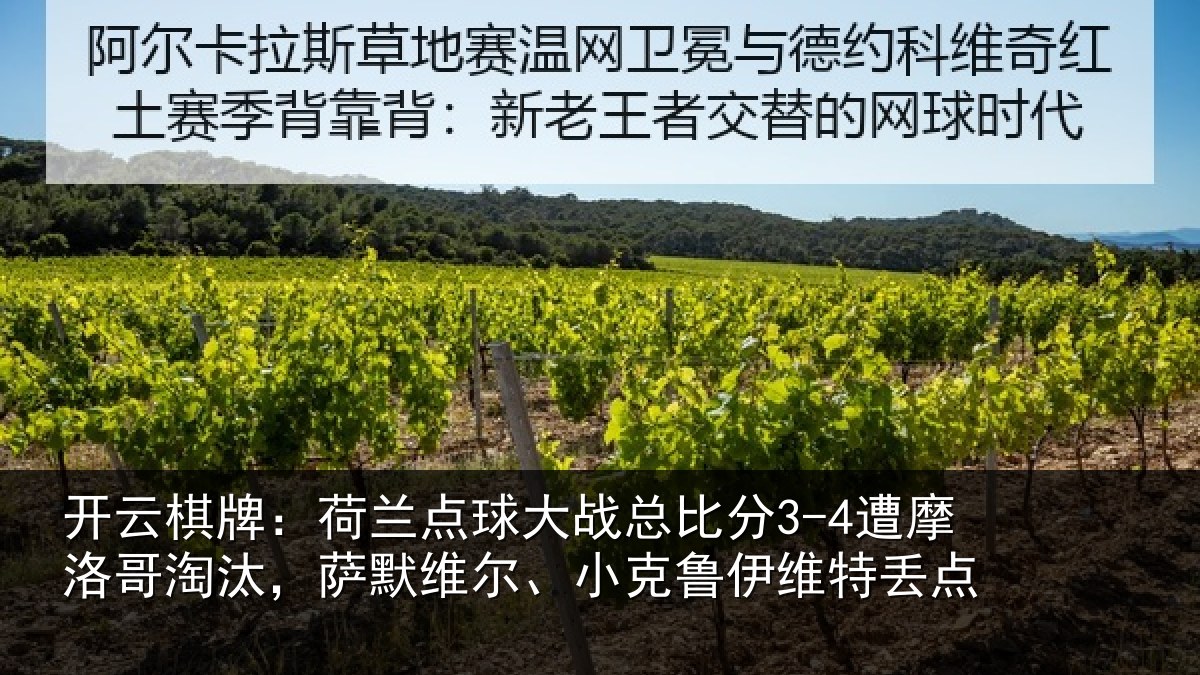 开云棋牌:荷兰相关情况摩洛相关情况克鲁伊维特丢点