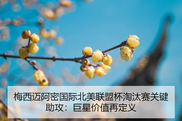 mei-xi-mai-a-mi-guo-ji-bei-mei-lian-meng-bei-tao-tai-sai-guan-jian-zhu-gong-ju-xing-jia-zhi-zai-ding-yi-2-206.jpg