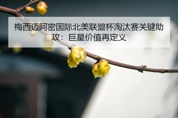 mei-xi-mai-a-mi-guo-ji-bei-mei-lian-meng-bei-tao-tai-sai-guan-jian-zhu-gong-ju-xing-jia-zhi-zai-ding-yi-3-715.jpg