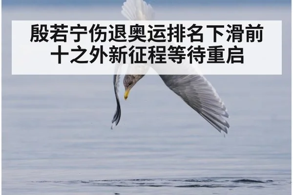 殷若宁伤退奥运排名下滑前十之外新征程等待重启