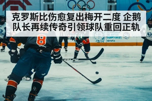 克罗斯比伤愈复出梅开二度 企鹅队长再续传奇引领球队重回正轨